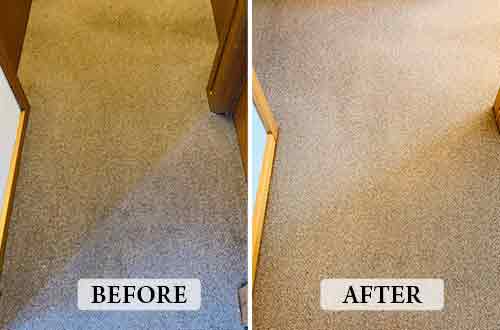 Carpet Cleaning before after work